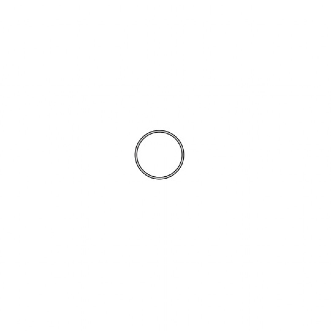 anillo--74-mm-bomba-agua-206--307--partner-16v-tu5jp4-4741